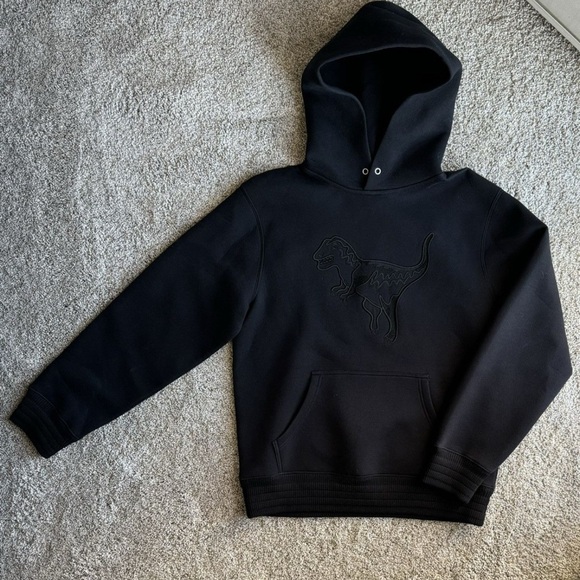 Dinosaur Embroidered Black Hoodie - Picture 2 of 7